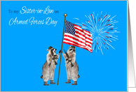 Armed Forces Day To Sister-in-Law, armed raccoons with flag, fireworks card