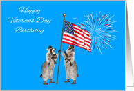 Birthday On Veterans Day with Armed Raccoons and an American Flag card