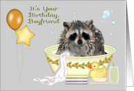 Birthday To Boyfriend, humor, soapy raccoon in bath tub with balloons card