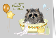 Birthday to Brother, humor, soapy raccoon in bath tub with balloons card