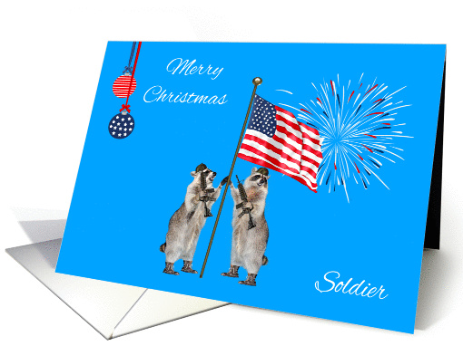 Christmas To Soldier, general, armed raccoons with flag,... (1138452)
