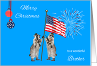 Christmas To Military Brother, armed raccoons with flag, fireworks card