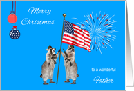 Christmas To Military Father, armed raccoons with flag and fireworks card