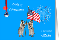 Christmas To Military Mother, armed raccoons with flag and fireworks card