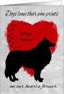 Sympathy for Loss Of Dog with a Collie Dog Silhouette on a Red Heart card