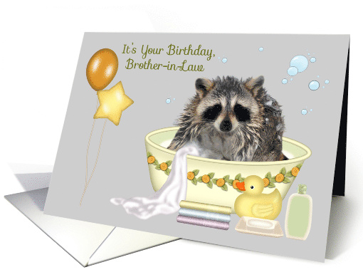 Birthday to Brother in Law with an Adorable Soapy Raccoon... (1141618)
