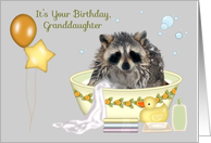 Birthday to Granddaughter, humor, soapy raccoon in bath tub, balloons card