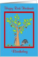 Birthday On Rosh Hashanah, general, Raccoons next to apple tree card