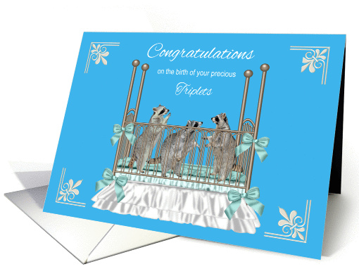 Congratulations, Birth Of Triplets, Three raccoons in a baby crib card