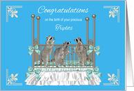 Congratulations, Birth Of Triplets, Three raccoons in a baby crib card