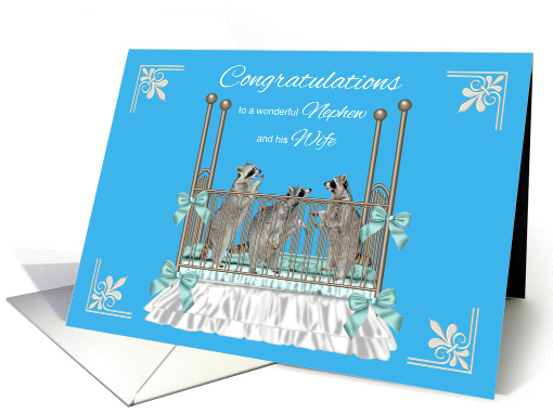 Congratulations To Nephew And Wife On Birth Of Triplets, raccoons card