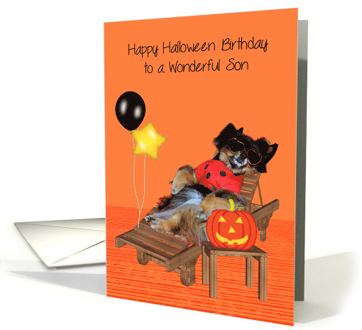 Birthday On Halloween to Son with a Pomeranian in a Bug Costume card