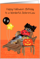 Birthday on Halloween to Sister in Law with Pomeranian in Bug Costume card