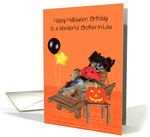 Birthday On Halloween to Brother-in-Law, Pomeranian in... (1152242)