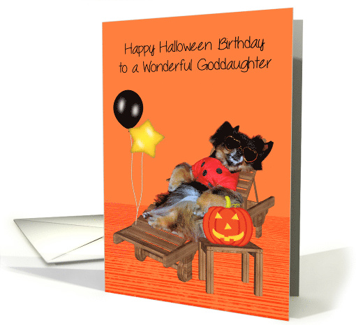 Birthday On Halloween to Goddaughter, Pomeranian in bug costume card