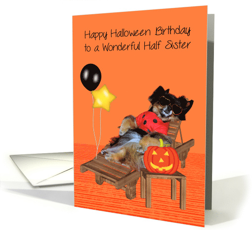 Birthday On Halloween to Half Sister, Pomeranian bug... (1152760)