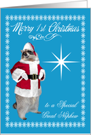 1st Christmas to Great Nephew, raccoon Santa Claus, snowflakes, blue card