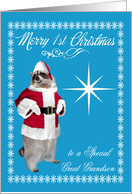 1st Christmas to Great Grandson, raccoon Santa Claus, snowflakes, blue card