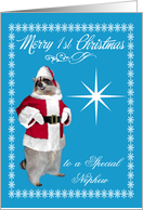 1st Christmas to Nephew, raccoon Santa Claus, snowflakes, blue card