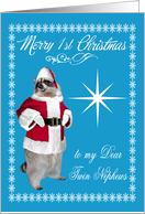 1st Christmas to Twin Nephews, raccoon Santa Claus, snowflakes card
