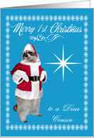 1st Christmas to Cousin, raccoon Santa Claus, snowflakes, star, blue card