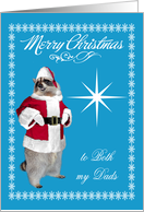 Christmas to Both my Dads, raccoon Santa Claus, snowflakes, star card