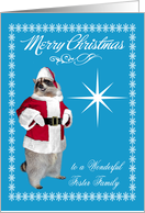 Christmas to Foster Family, raccoon Santa Claus, snowflakes, star card