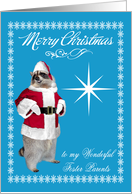 Christmas to Foster Parents, raccoon Santa Claus, snowflakes, star card