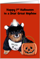 1st Halloween to Great Nephew, Pomeranian in Skunk costume, orange card