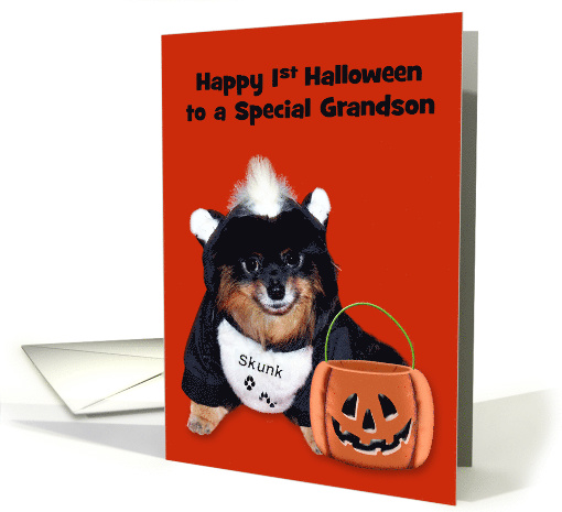 1st Halloween to Grandson with a Pomeranian wearing a... (1158018)