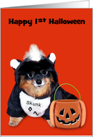 1st Halloween, general, Pomeranian in Skunk costume on orange card