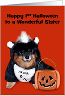1st Halloween to Sister, Pomeranian in Skunk costume on orange card
