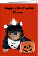Halloween, custom for any name, Pomeranian in Skunk costume on orange card