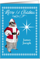 1st Christmas, custom for any name, raccoon Santa Claus, snowflakes card