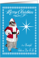 Christmas to Father-in-Law To Be, raccoon Santa Claus, snowflakes card