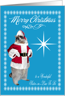 Christmas to Sister-in-Law To Be, raccoon Santa Claus, snowflakes card