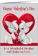 Valentine’s Day to Brother and Sister in Law with a Boy and Girl Bunny card