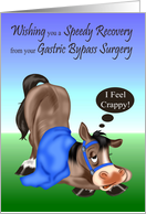 Get Well, Gastric Bypass Surgery, sick horse with a blue blanket card