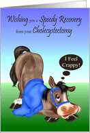 Get Well from Cholecystectomy with a Sick Horse Covered in a Blanket card