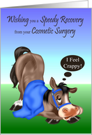 Get Well from Cosmetic Surgery, A sick horse with a blanket and bridle card
