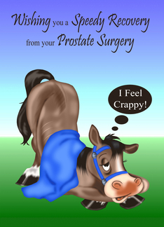 Get Well from Prostate Surgery with a Sick Horse Covered in a Blanket