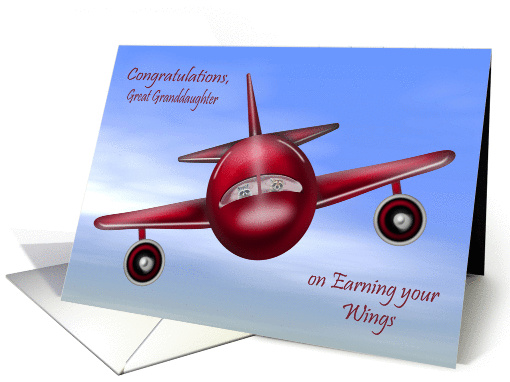 Congratulations To Great Granddaughter, pilot's license, raccoons card