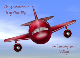 Congratulations To Wife, pilot's license, raccoons flying plane, blue