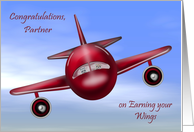 Congratulations To Partner, pilot’s license, raccoons flying a plane card