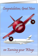 Congratulations To Great Niece, pilot’s license, raccoons flying plane card