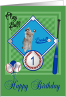 1st Birthday, raccoon playing baseball with a ball and mitt on green card