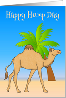 Hump Day, general, smiling camel walking by a palm tree, blue sky card