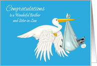 Congratulations To Brother And Sister-in-Law, Boy, Stork with raccoon card