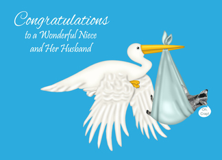 Congratulations to Niece and Husband on their New Baby Boy