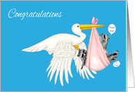 Congratulations, Triplet Girls, Stork with raccoons in pink blanket card
